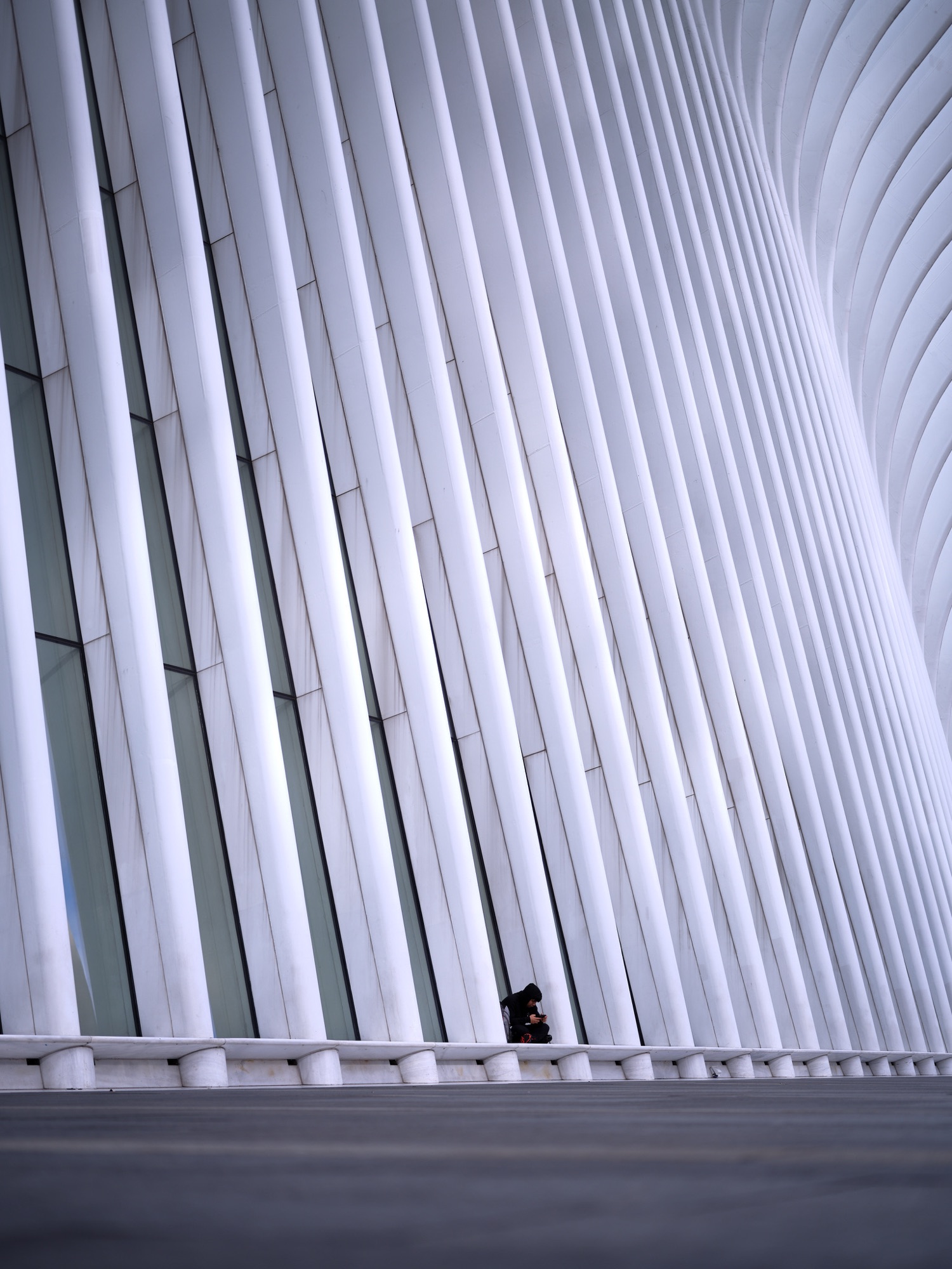 Embodied looniness / New York
